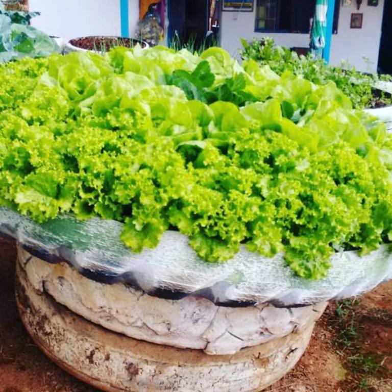 Pousada Shangrila Sao Thome São Tomé das Letras Eksteriør bilde